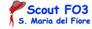 Scout FO3-SMF