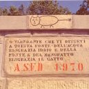 15 08 la nuova fonte del gatto a strabatenza